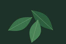 Load image into Gallery viewer, Banana Leaves artwork, full print design