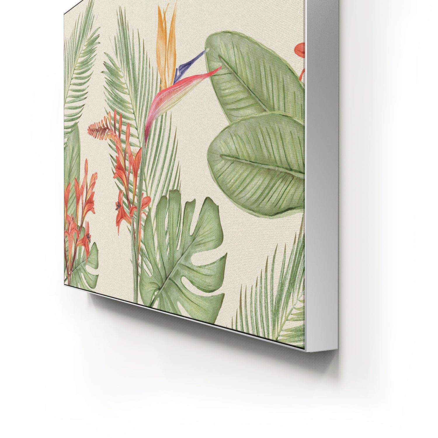 BOTANICAL ART 【import品】 Antique Botanical Print Set No. 32, Botanical Prints