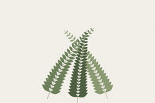 Load image into Gallery viewer, Fern Fronds artwork, full print design
